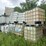 #23983-•-lot-of-(13)-poly-tanks-w/-cage-image-2