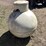 #1889-•-round-propane-tank-image-2