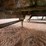 #41745-•-steel-48'-t/a-chip-trailer-image-23