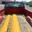 #23967-•-2004-chevrolet-silverado-pickup-vin:-1gcec14x74z216889-image-11