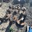 #41280-•-lot-of-planter-parts-inv#-41280-image-1
