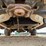 club-car-2-seater-gas-golf-cart-(2,403-hours)-image-22