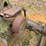 john-deere-a-image-35