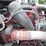 2019-international-lt-image-29