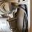#1840-•-dremel-3000-multi-tool-and-bits-image-12