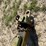 john-deere-455-image-29
