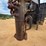 2006-axle-dump-trailer-image-20