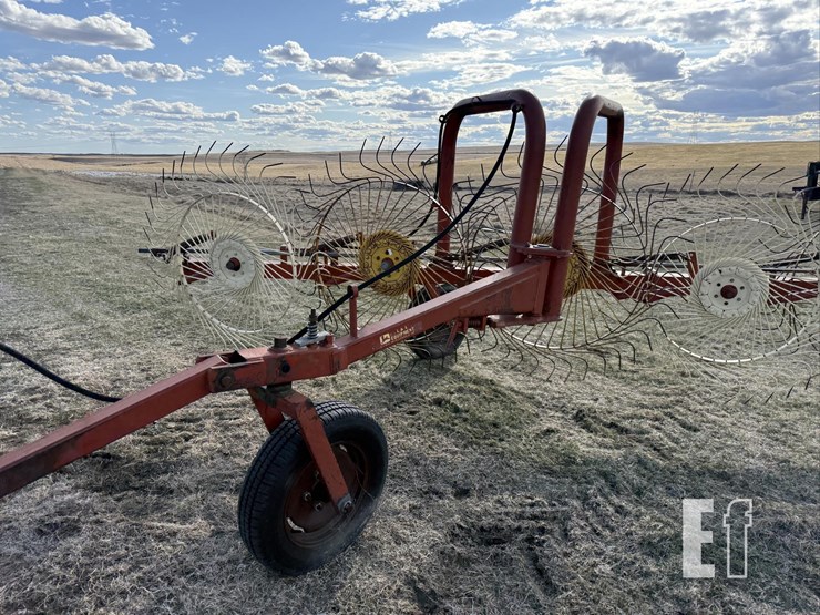 eurorake-9-wheel-rake-3380-image-5