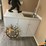 #3284-•-shipping-container-tiny-house-image-15