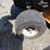 cub-cadet-lxt1050-riding-mower-image-11