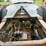 #23987-•-inop-1979-international-f-2554-t/a-single-cab-truck-tractor-cf255jha29827-image-32