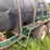#530-•-1600-gallon-nurse-tank-trailer-with-pump-image-3