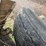 #23987-•-inop-1979-international-f-2554-t/a-single-cab-truck-tractor-cf255jha29827-image-8