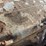 caterpillar-3406-image-8
