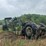 #23991-•-inop-michigan-290y-scraper-tractor-dozer-62781-image-4