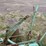 massey-harris-two-bottom-plow-image-8