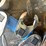 #1839-•-assorted-specialty-sockets-image-5