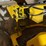 international-cub-image-39