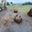 john-deere-24-image-1