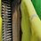 2008-john-deere-9996-image-13