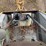 caterpillar-416b-image-67