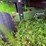#527-•-ez-trail-header-trailer-image-2