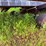 #527-•-ez-trail-header-trailer-image-4