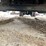 2015-international-durastar-4300-image-24