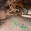 #41746-•-gilbreath-48'-steel-chip-trailer-vin:-1g9w045231b157743-image-14