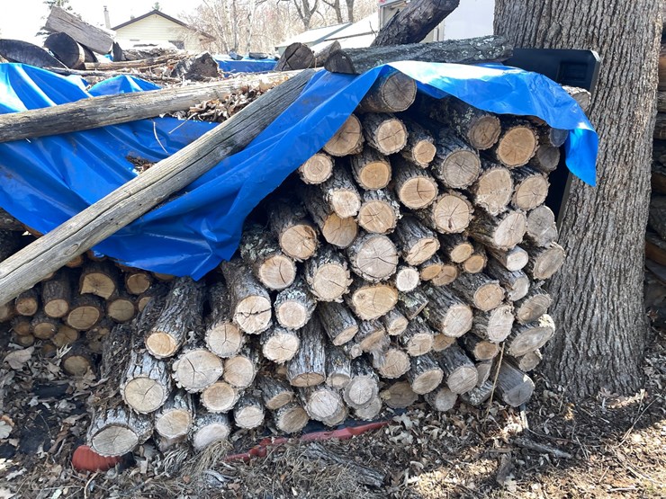 #1890-•-(2)-piles-of-firewood-image-9