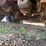 #37057-•-**-37'-t/a-drop-deck-equipment-trailer-inv#-37057-image-28