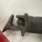#8615-•-milwaukee-corded-sawzall-image-13