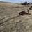 rowse-3pt.-9-ft.-sickle-mower-3384-image-11
