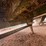 #41745-•-steel-48'-t/a-chip-trailer-image-20