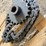 #23976-•-16hp-electric-motor-image-6