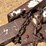dempster-clipper-200-image-8