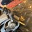 #1848-•-rockwell-circular-saw-and-porter-cable-belt-sander-image-16