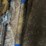 nicholson-a6-image-9