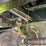 40-drott-40-image-115