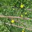 #5627-•-(3)-cables-image-4
