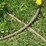#5623-•-(1)-cable-image-4