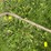 #5623-•-(1)-cable-image-3
