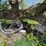 #5601-•-misc.-shop-image-7