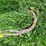 #5625-•-(4)-cables-image-14