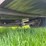 #5585-•-utility-trailer-image-20