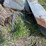 #5599-•-misc.-scrap-metal-&-more-image-41