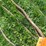 #5627-•-(3)-cables-image-3