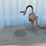 #50-•-citgo-oil-tank-with-hand-pump-image-4