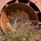 #2-•-1998-tenex-3-90c-trash-master-compactor-image-31