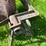 #5619-•-vintage-concrete-mixer-image-8